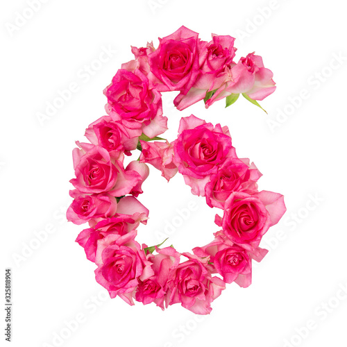 Numeral 6 made of roses on a white isolated background. Element for decoration.