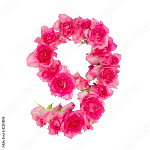 Numeral 9 made of roses on a white isolated background. Element for decoration.