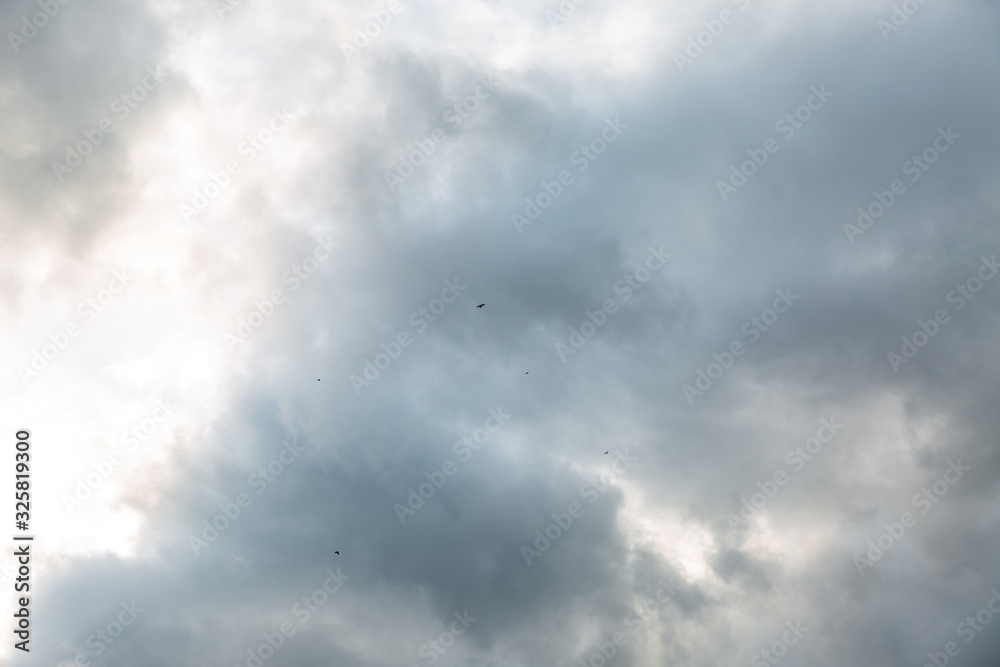 Obraz premium clouds in the sky