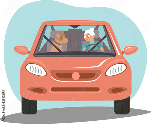 Old senior woman driving car her dog sitting near