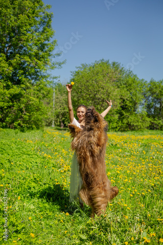 Принти на полотні A red hair girl and her pet briard are playing and doing exercises on the green grass in spring