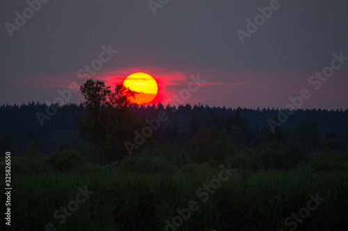 Sonnenuntergang im Federseeried bei Bad Buchau in Oberschwaben