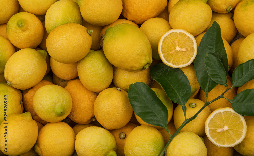 Whole fresh yellow lemons with half cut slices and green lemon branch with leaves as a background