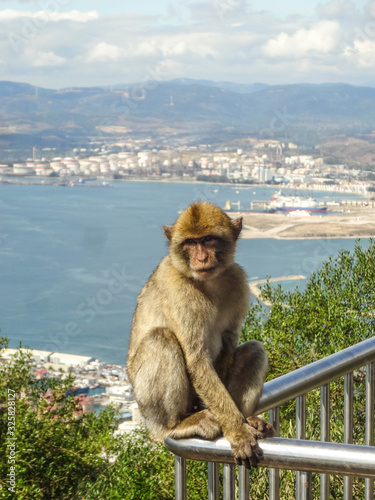 Gibraltar - britisches Überseegebiet - Spanien © st1909