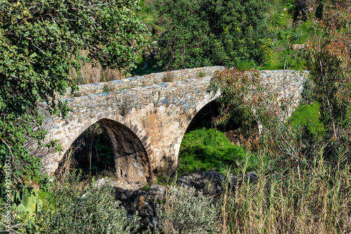 Medieval stone bridge surrounded by greens