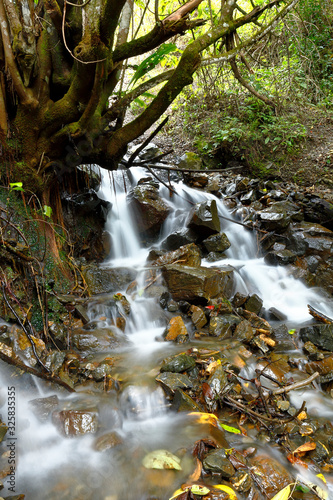 River inside forest in Santo Domingo de Acobamba photo