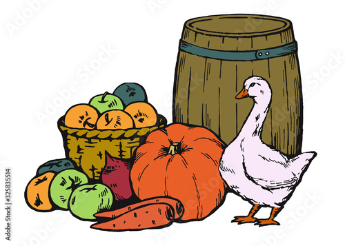 Fall rural still life with gourd, apples, carrots, beets, wicker basket, wooden barrel and goose. Vector illustration