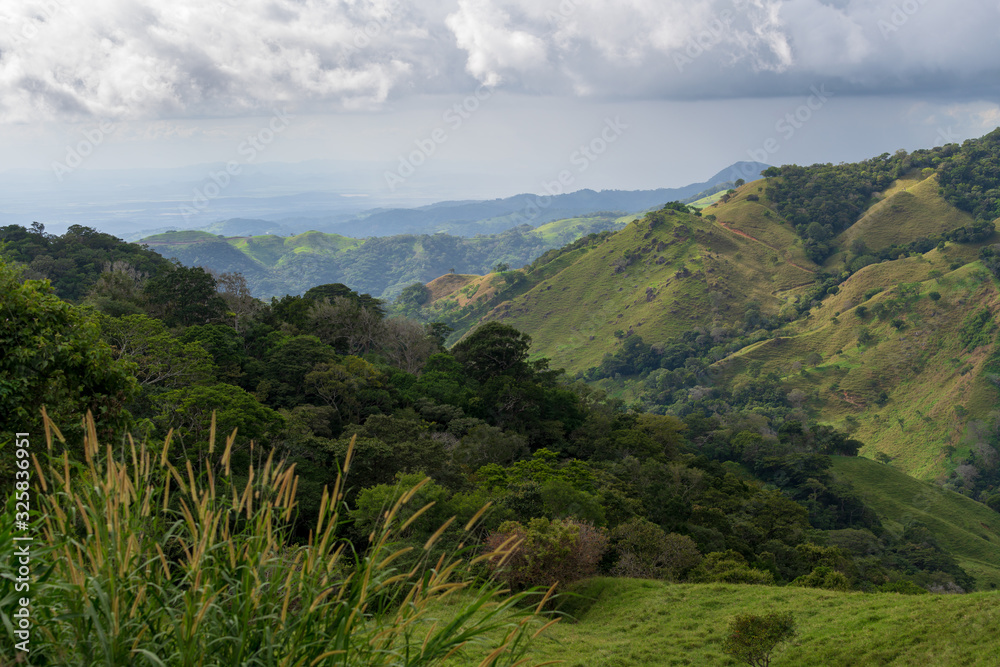 Paysage Monteverde