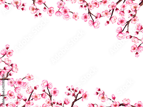 Watercolor floral sakura frame. Spring cherry blossom border, isolated on white.