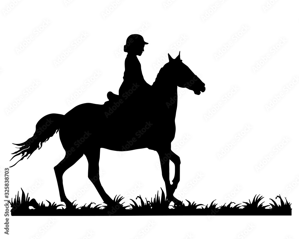 young horsewoman is riding a gallop on the grass, isolated image, black silhouette on a white background