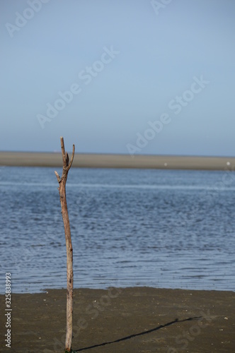 Wattenmeer