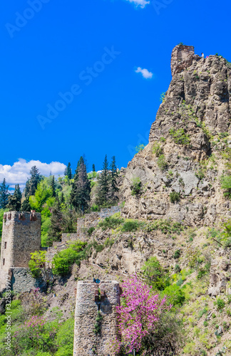 The ancient fortress of Narikala. View from the side of the National Botanical Garden. Georgia. Tbilisi. photo