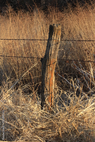 Kansas country fence with a wooden post with Prairie grass  out in the country by Nickerson Kansas USA. photo