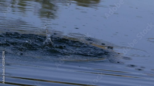 A rock splashes into a pond creating ripples in slow motion