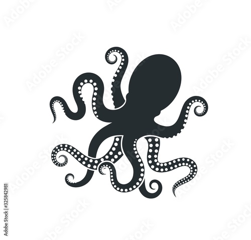 Octopus logo. Isolated octopus on white background photo