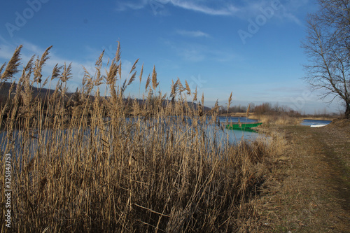 Fototapeta Naklejka Na Ścianę i Meble -  Winter landscape from the lake