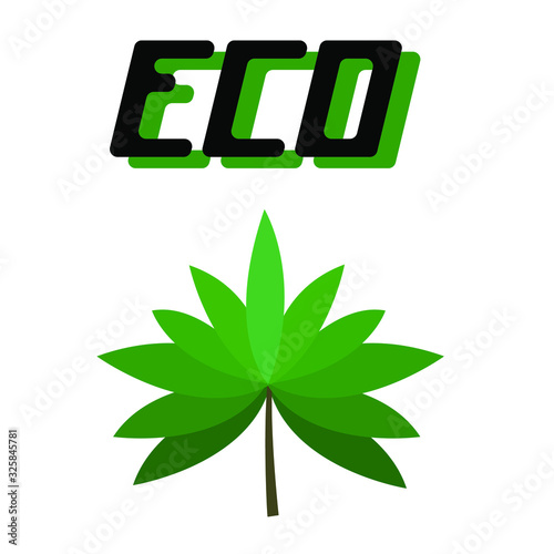 eco leafes. nature organic vector illustration photo