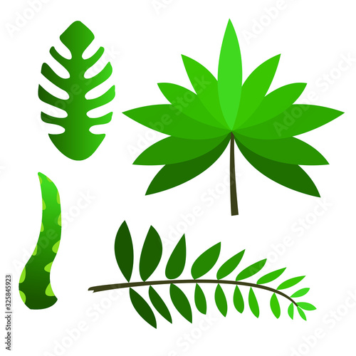 leafes clip art, vector clipart. nature organic. photo