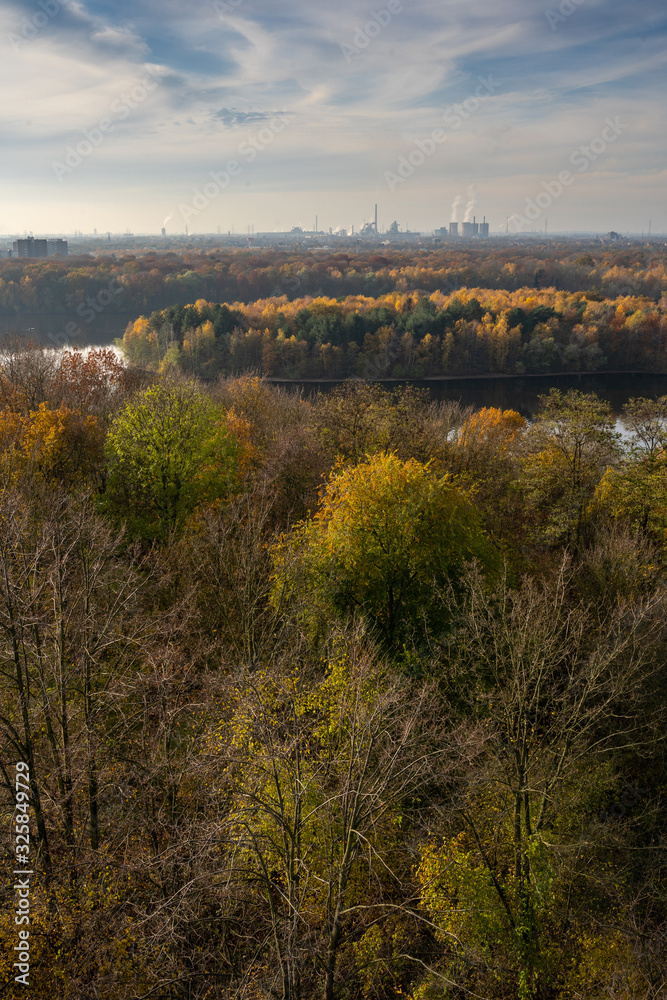Colorful autumn trees in the Sechs-Seenplatte recreation area in Duisburg, North Rhine-Westphalia, Germany