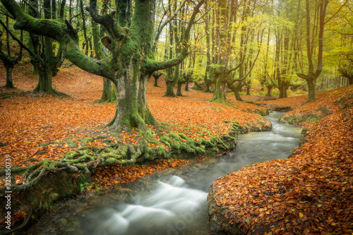 autumn green ahedo and otzarreta river photo