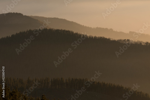 sunset over the pines in the basque country, spain