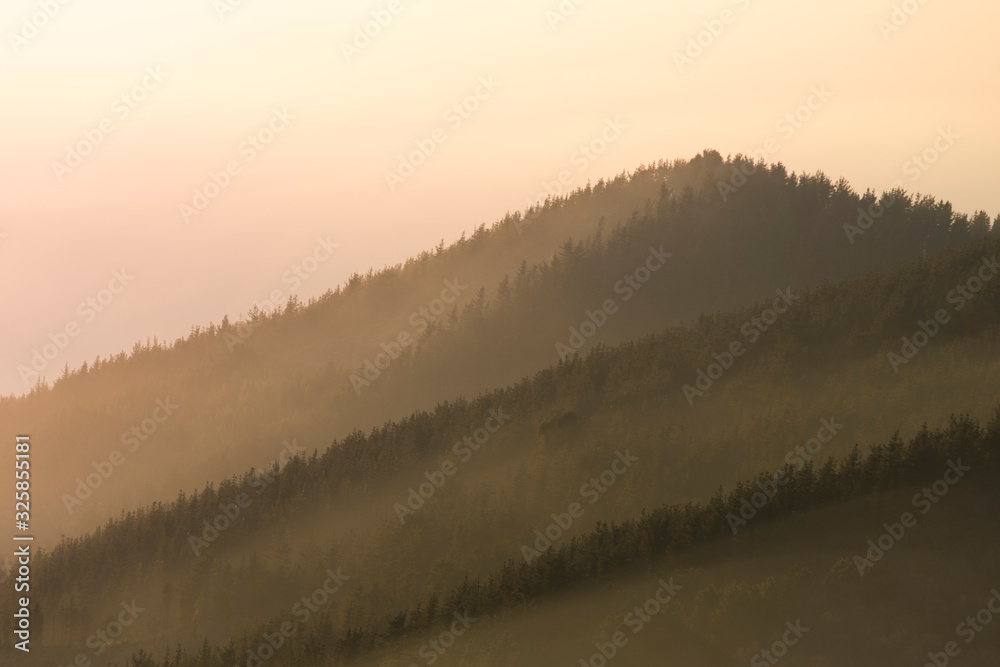 Fototapeta premium sunset over the pines in the basque country, spain