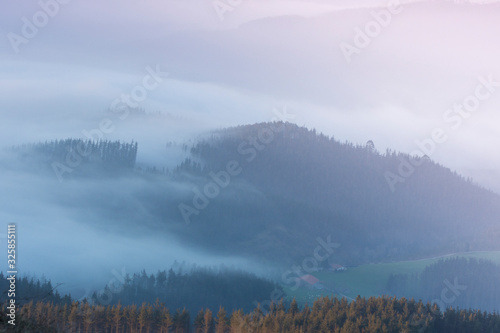 Misty forest in the morning in the basque country, spain