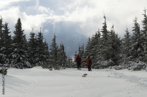 Zimowe widoki w Tatrach niskich na Słowacji
