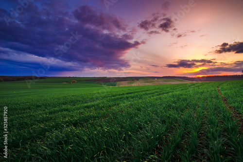 spring in the field