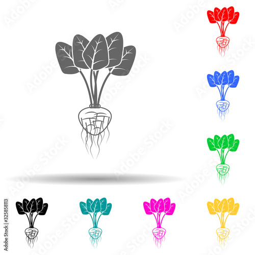 radish multi color style icon. Simple glyph, flat vector of roots icons for ui and ux, website or mobile application