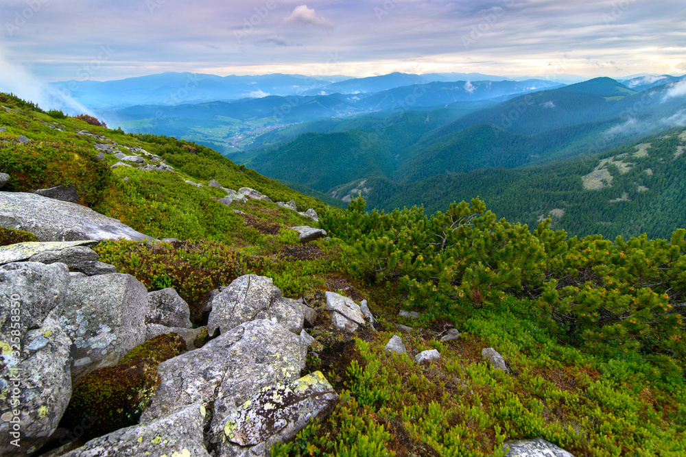 summer in the mountains