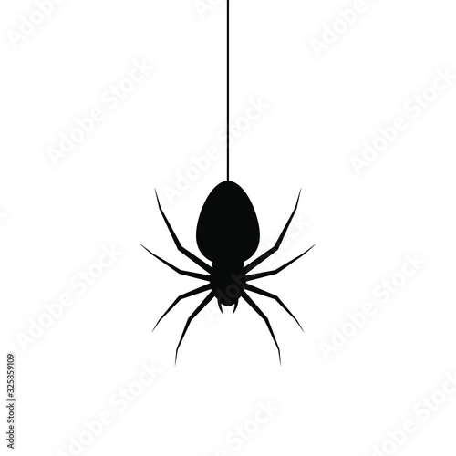 Spider hanging on cobweb. Spider hanging on spider web. Vector Illustration