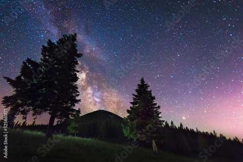night landscape with trees