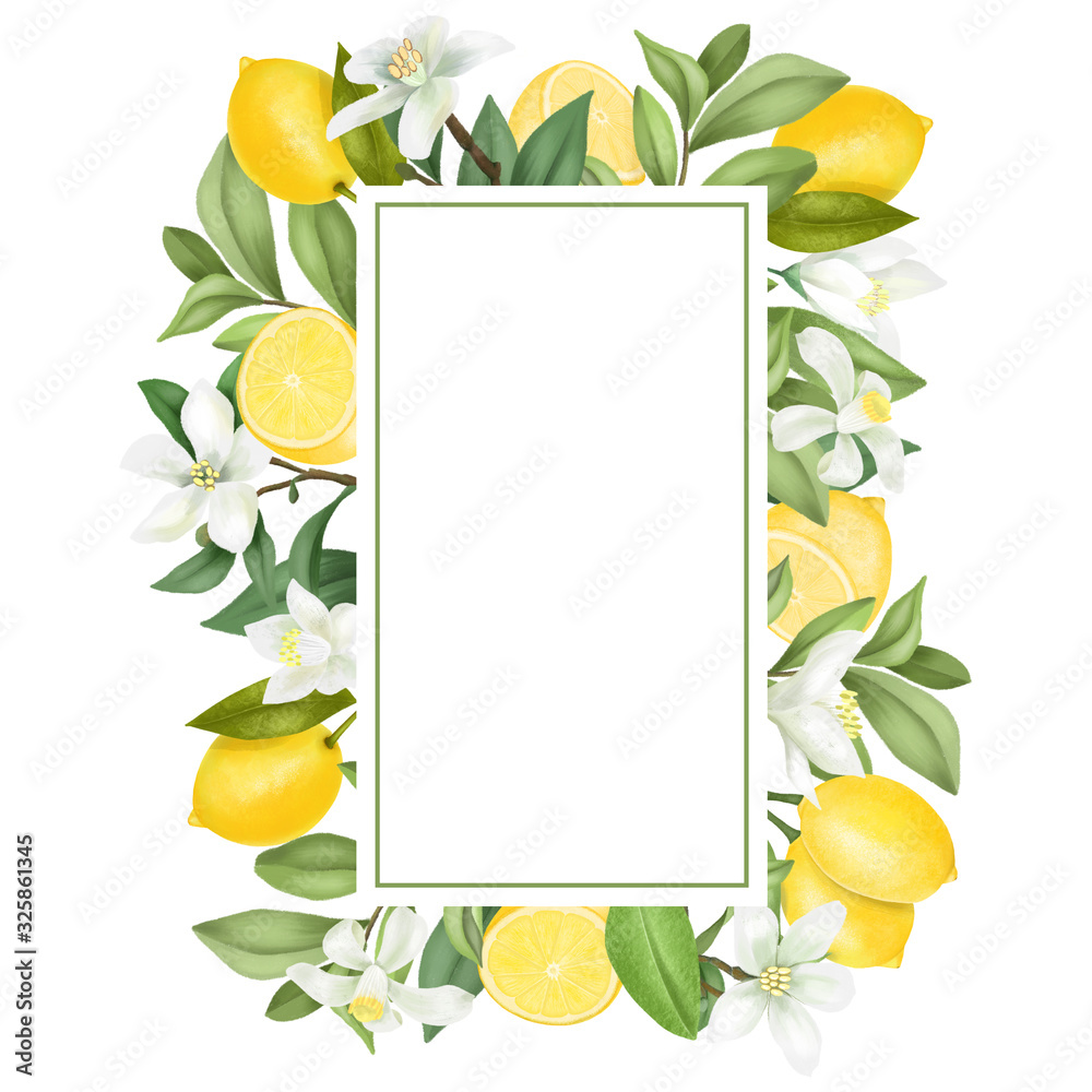 Vertical frame of hand drawn blooming lemon tree branches, flowers, lemons on white background