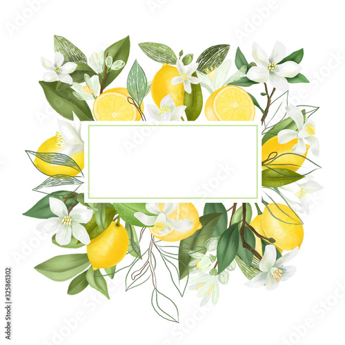 Frame of hand drawn blooming lemon tree branches, flowers, lemons on white background