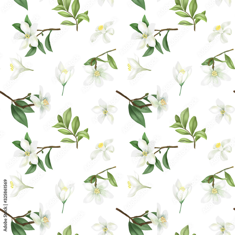 Seamless pattern with hand drawn green lemon tree branches and lemon (lime) flowers on a white background