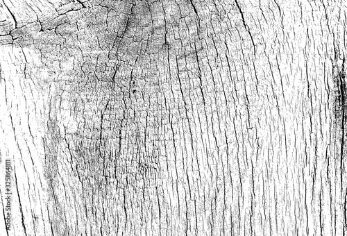 Wooden texture background. Old wood texture for add text or work design for backdrop product. top view