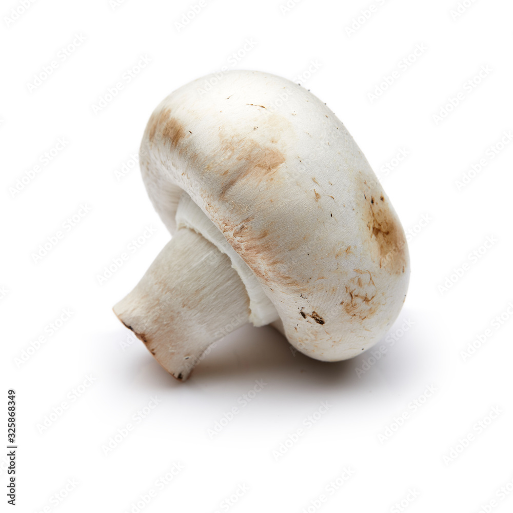 Fototapeta premium Mushroom Isolated on White Background