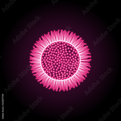 Sea egg kina neon icon. Simple thin line, outline vector of fish icons for ui and ux, website or mobile application