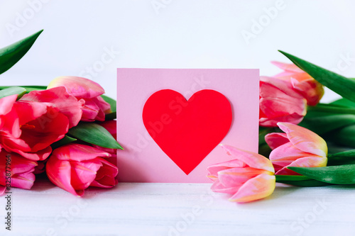 Greeting card and pink tulipp flowers on white background