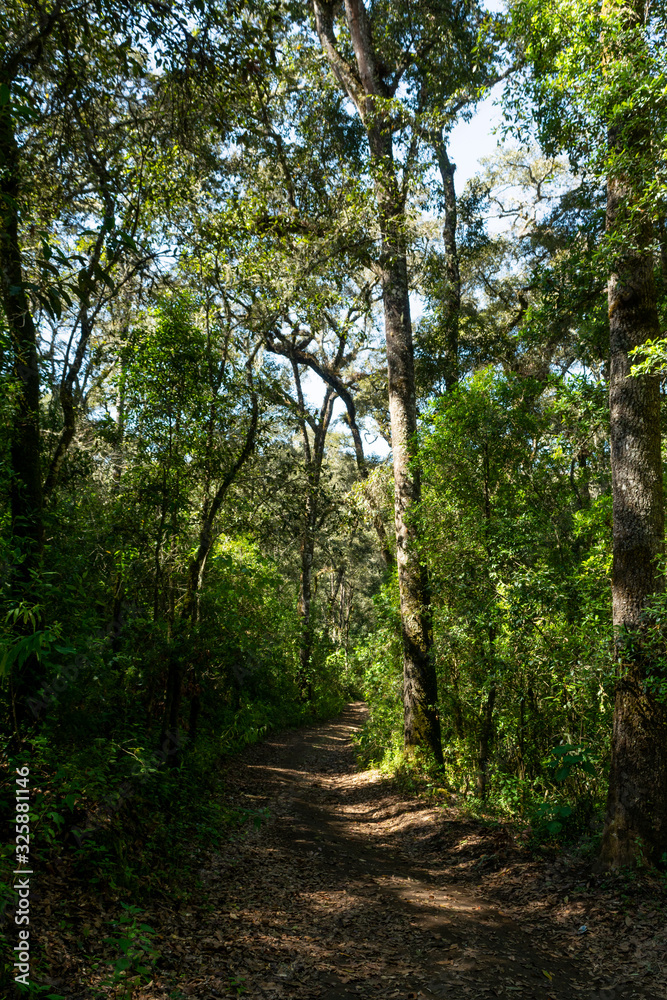 Obraz premium la laguna