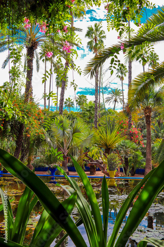 Paradise