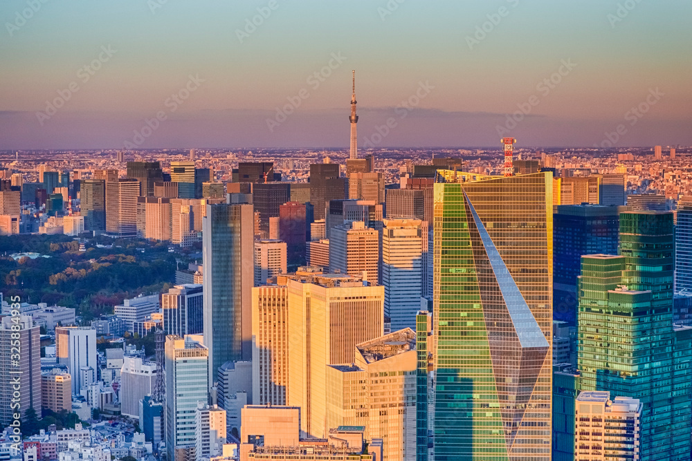 Fototapeta premium Amazing Skyline of Tokyo City at Blue Hour in Japan with a Line of Skyscrapers in The Foreground.