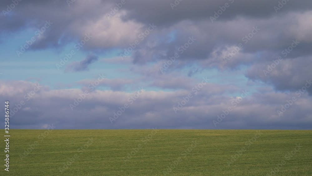 video of green wheat field and sky video of green wheat field and sky