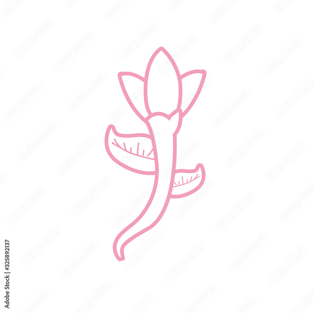 Isolated natural flower line style icon vector design