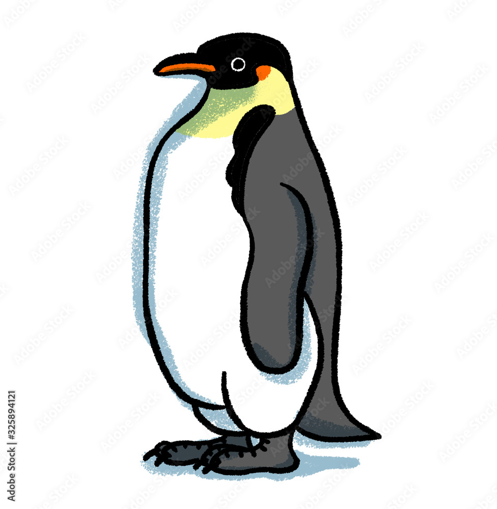 コウテイペンギン コウテイペンギン