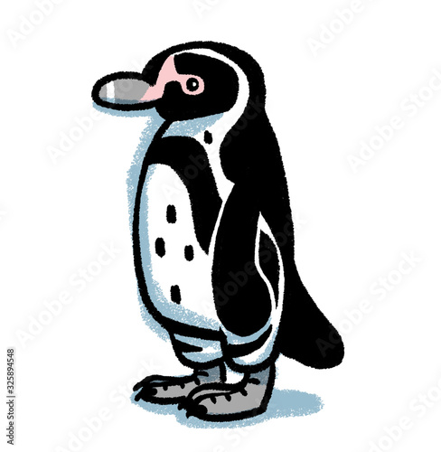 フンボルトペンギン