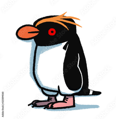 マカロニペンギン
