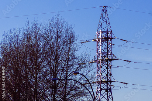 the corner anchor of the power transmission line behind the trees is lit by a low sun against a blue sky photo