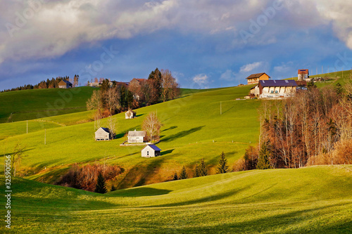 Landscape with woods and farm houses